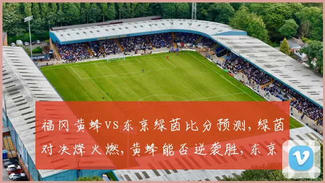 福冈黄蜂vs东京绿茵比分预测,绿茵对决烽火燃,黄蜂能否逆袭胜,东京一触即发
